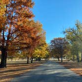 Review photo of Woodford State Fish and Wildlife Area by Stuart K., November 15, 2024