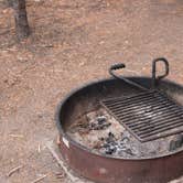 Review photo of Canyon Campground — Yellowstone National Park by Graham C., September 16, 2016