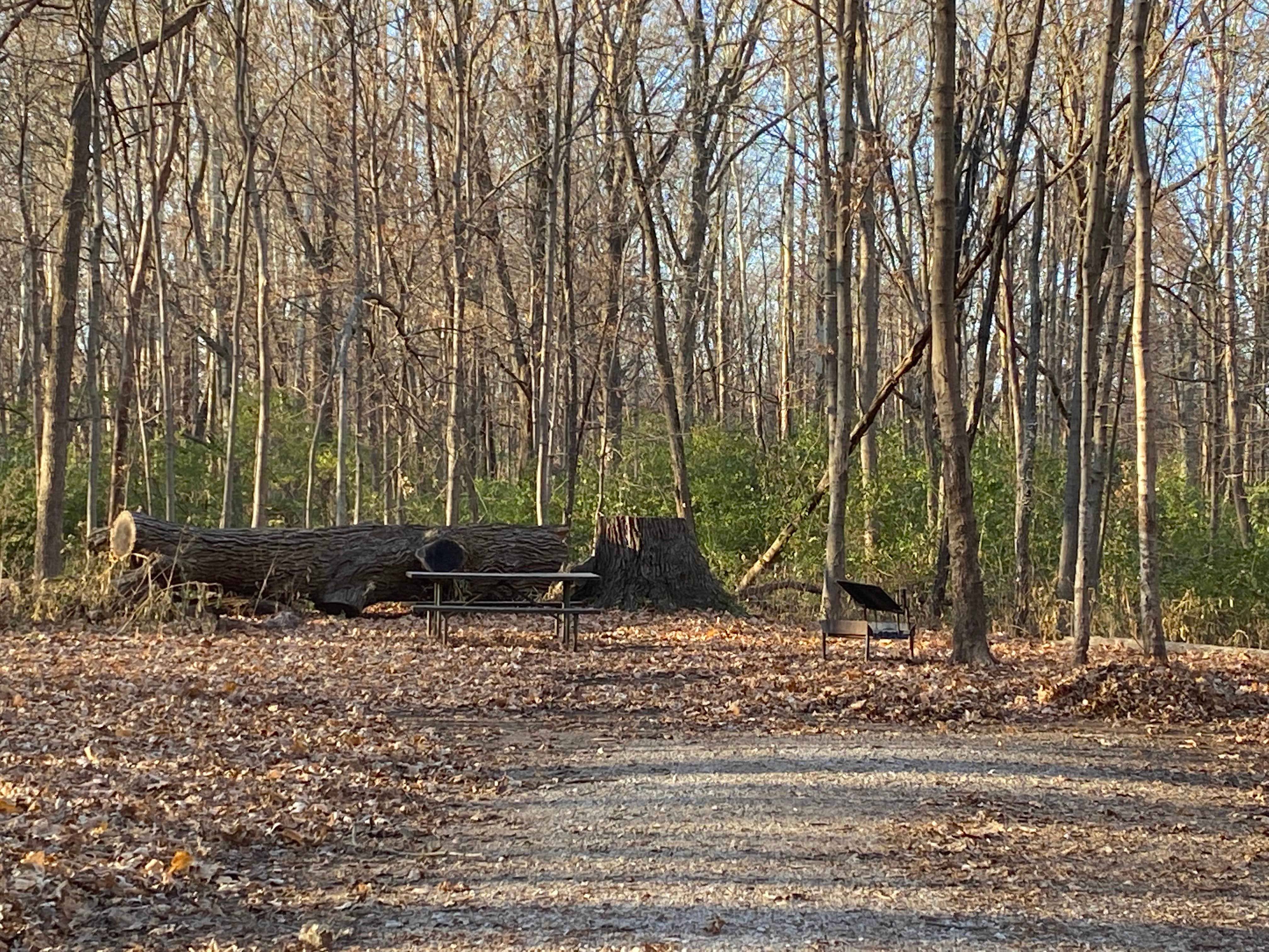 Camper-submitted photo at Whitetail Campground — Illini State Park near Streator, IL
