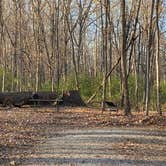 Review photo of Whitetail Campground — Illini State Park by Stuart K., November 16, 2024