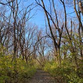 Review photo of Whitetail Campground — Illini State Park by Stuart K., November 16, 2024