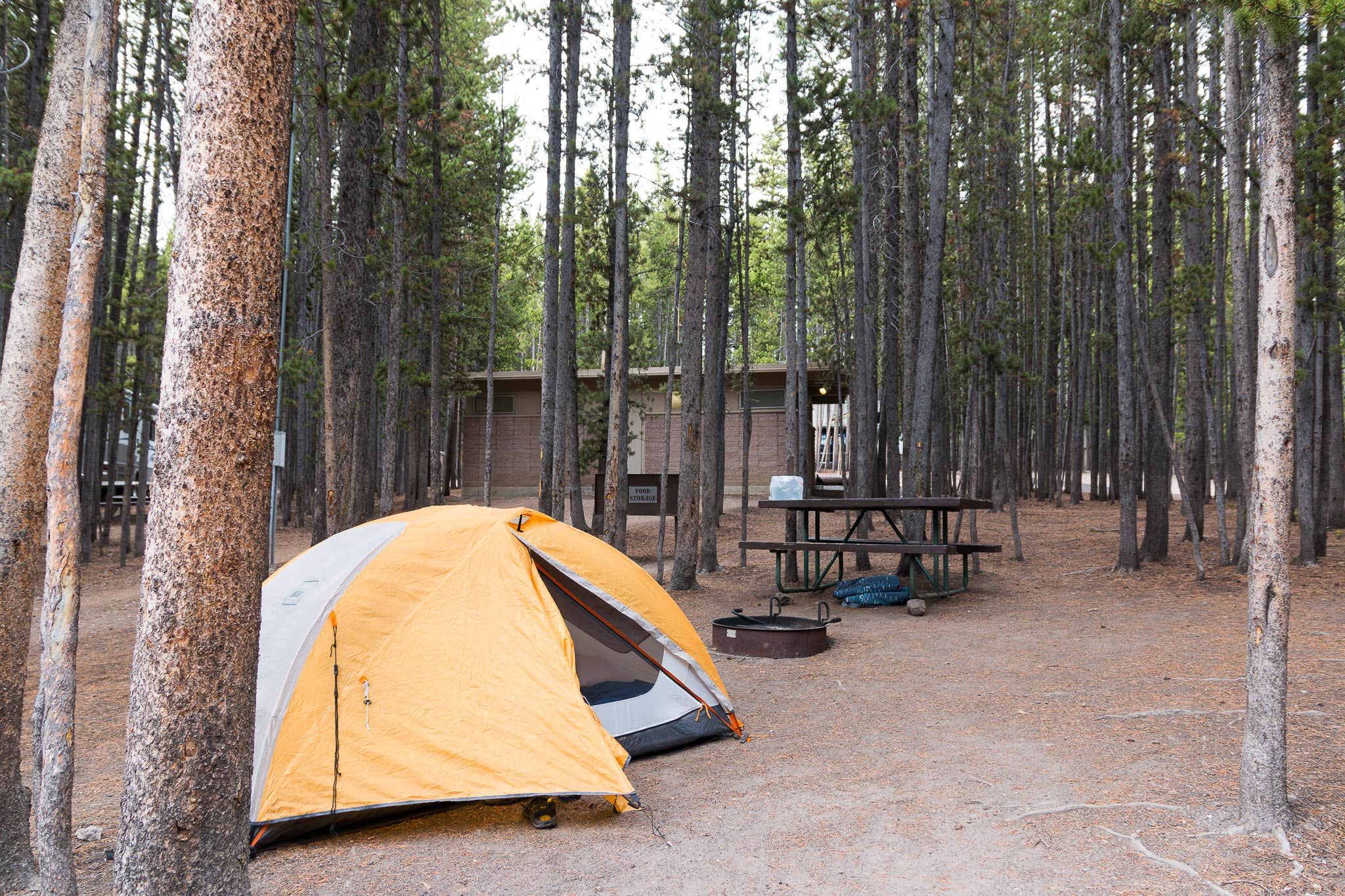 Canyon campground yellowstone deals