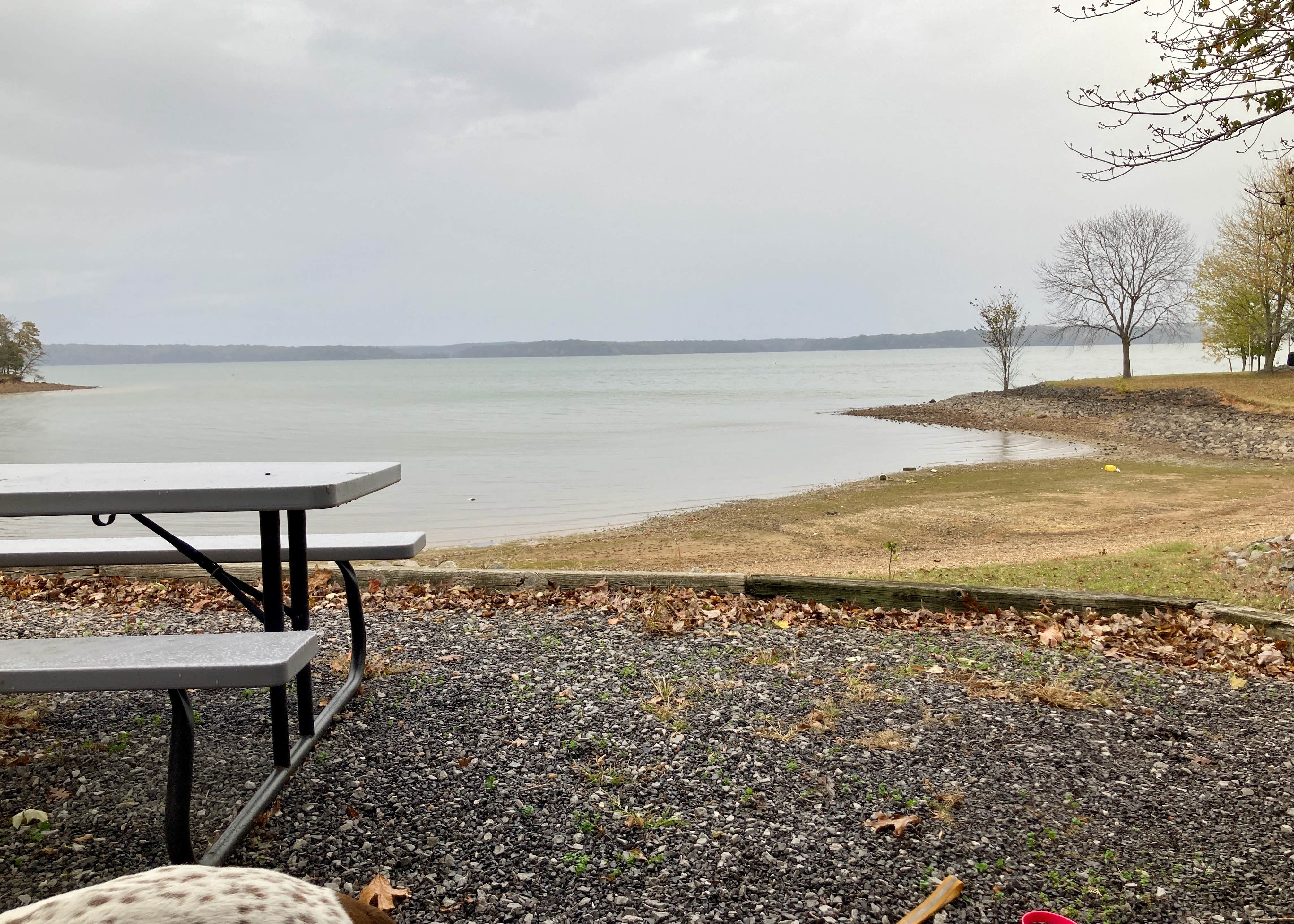 MickandKarla W.'s photo of camping with pets at Birmingham Point Campground near Eddyville, KY