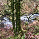 Review photo of Silver Falls State Park Campground by Jeff K., November 16, 2024