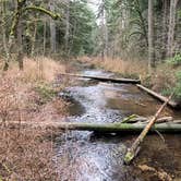 Review photo of Silver Falls State Park Campground by Jeff K., November 16, 2024