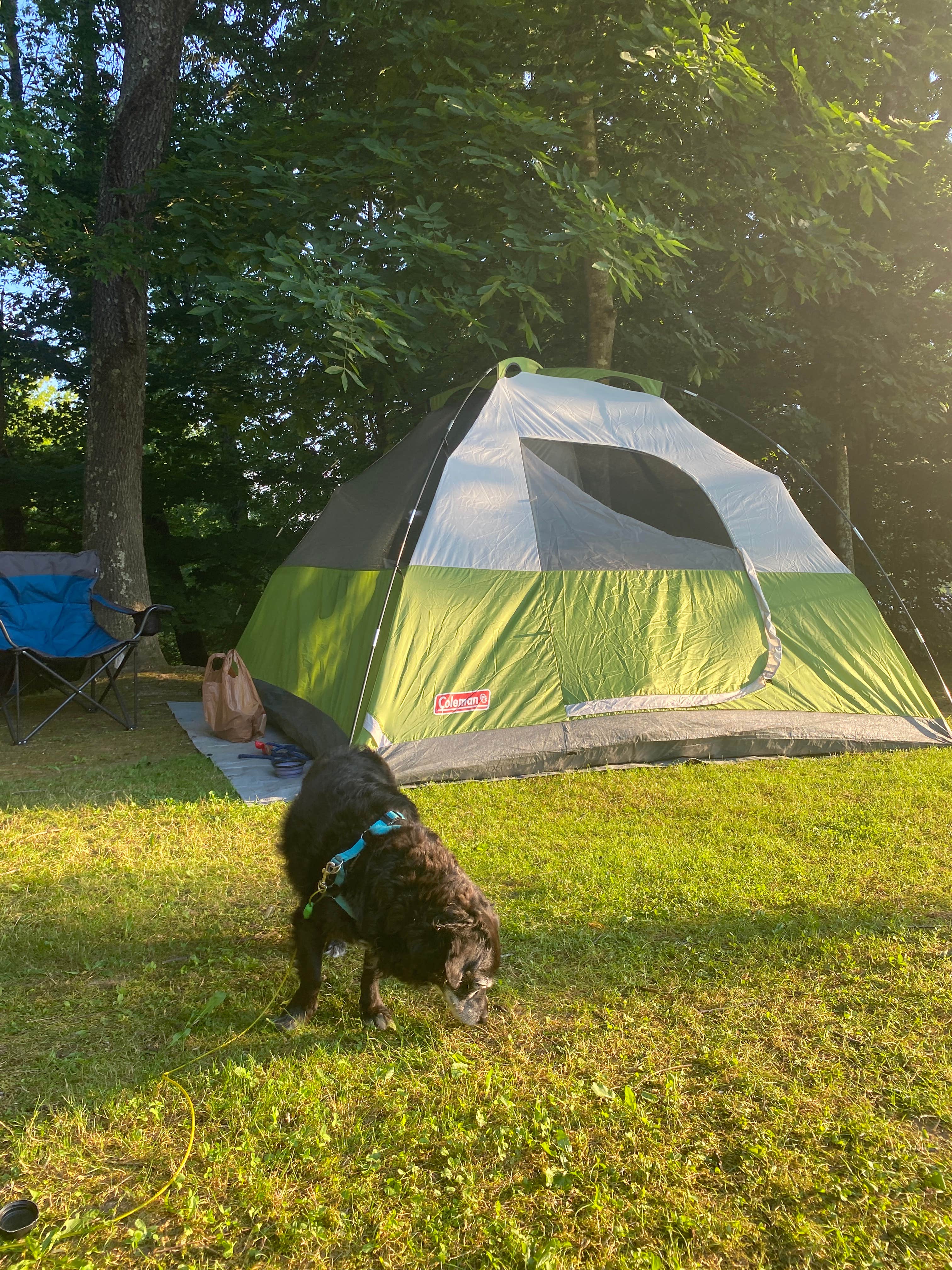 DD's photo at The Ole Cornfield near Salt Lick, KY