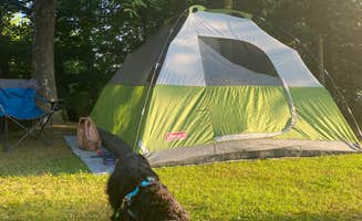 DD's photo of camping with pets at The Ole Cornfield near Grahn, KY