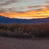 Review photo of Three Rivers Petroglyph Site by UT801 , November 17, 2024