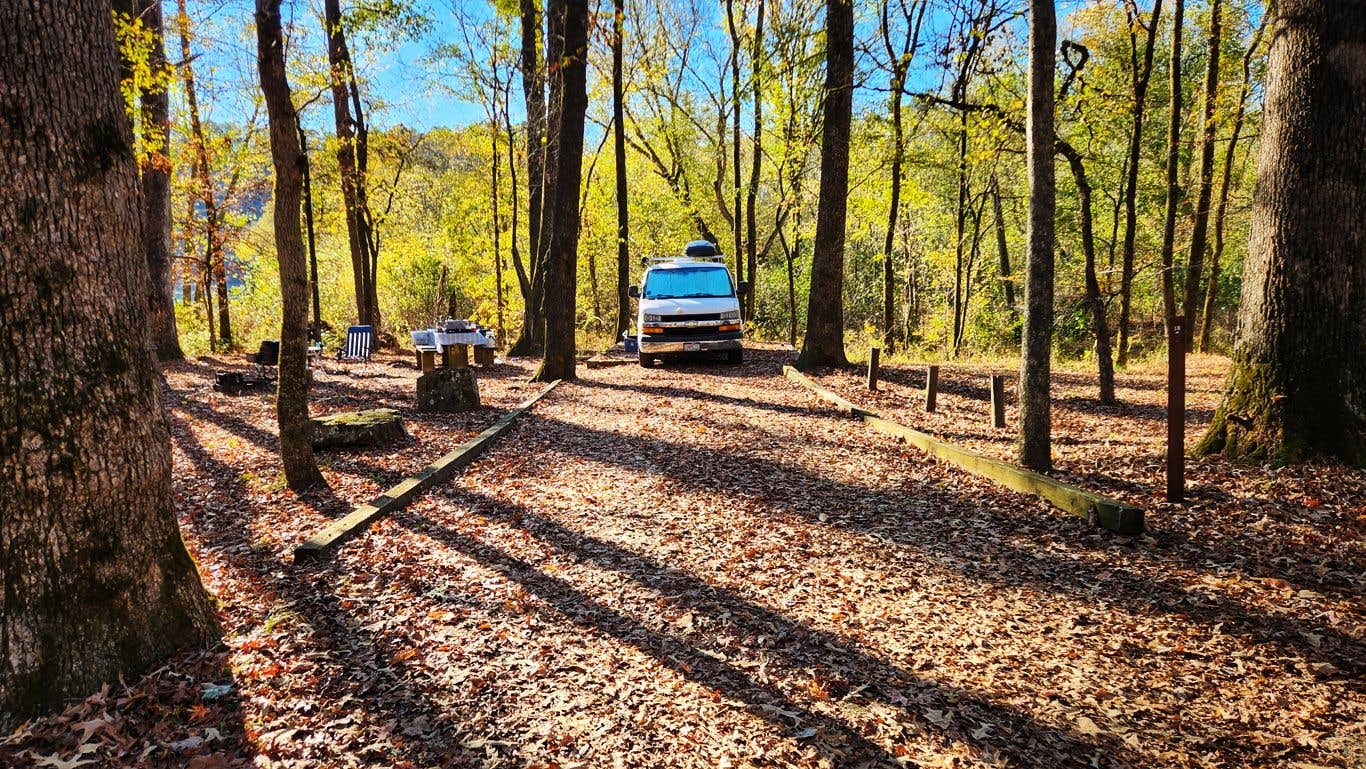 Camper submitted image from Shores Lake - 4