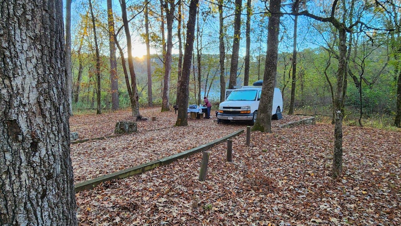 Camper submitted image from Shores Lake - 5