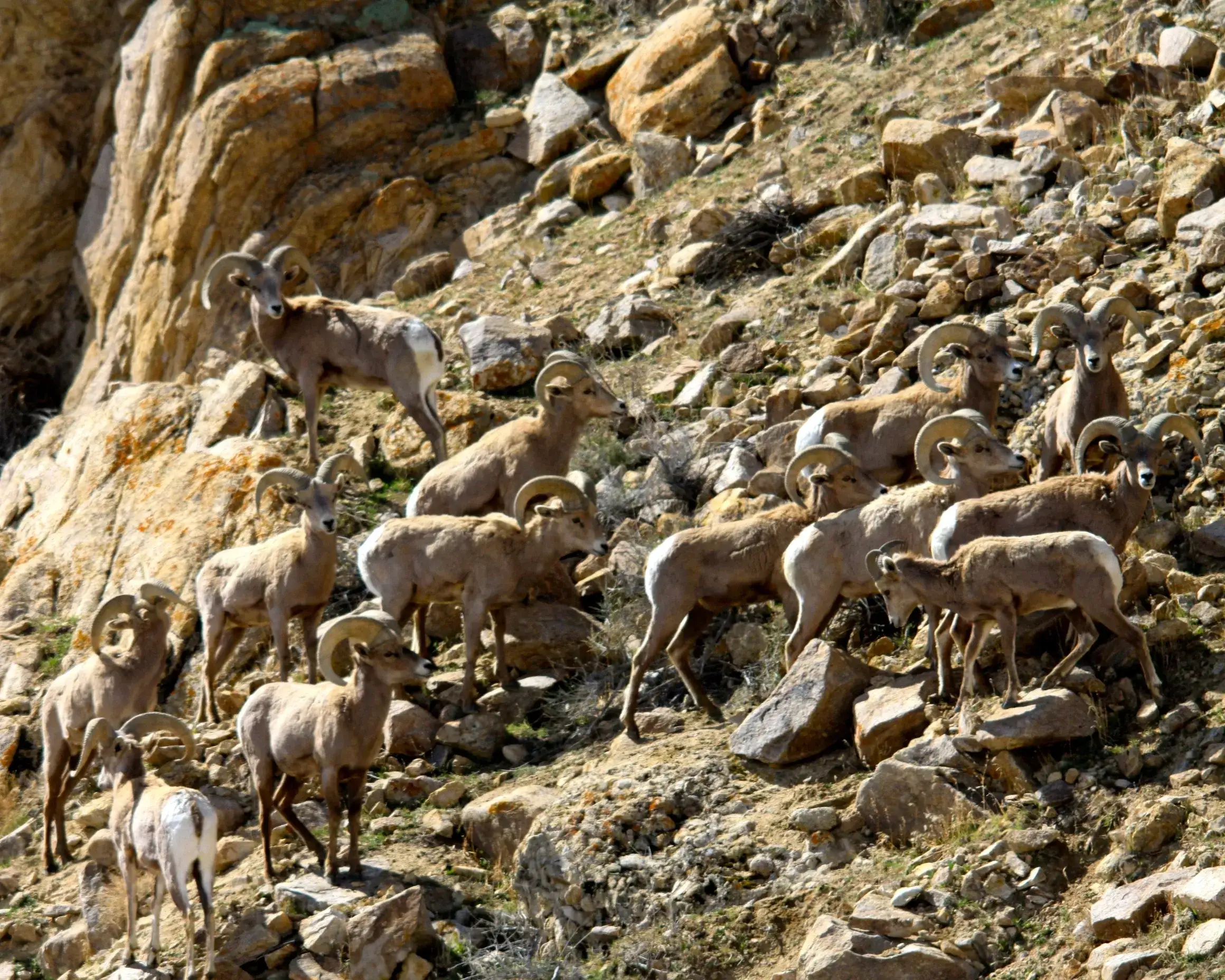 Camper-submitted photo at Whiskey Flats RV Park near Coleville, CA