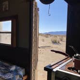 Review photo of Van Life Campground: Joshua Tree by Elizabeth M., November 19, 2024