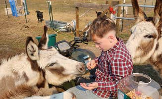 Sarah J.'s photo of camping with pets at Florida Farm School & Animal Rescue Inc near Dade City, FL