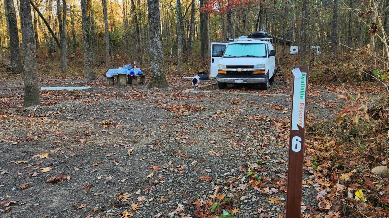 Fred S.'s photo of camping with pets at Redding Campground near Combs, AR