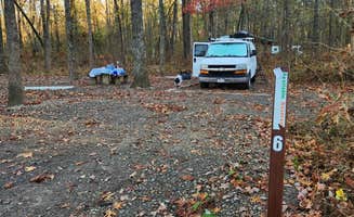 Fred S.'s photo of camping with pets at Redding Campground near Ozark, AR