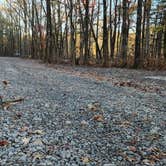 Review photo of Redding Campground by Fred S., November 23, 2024