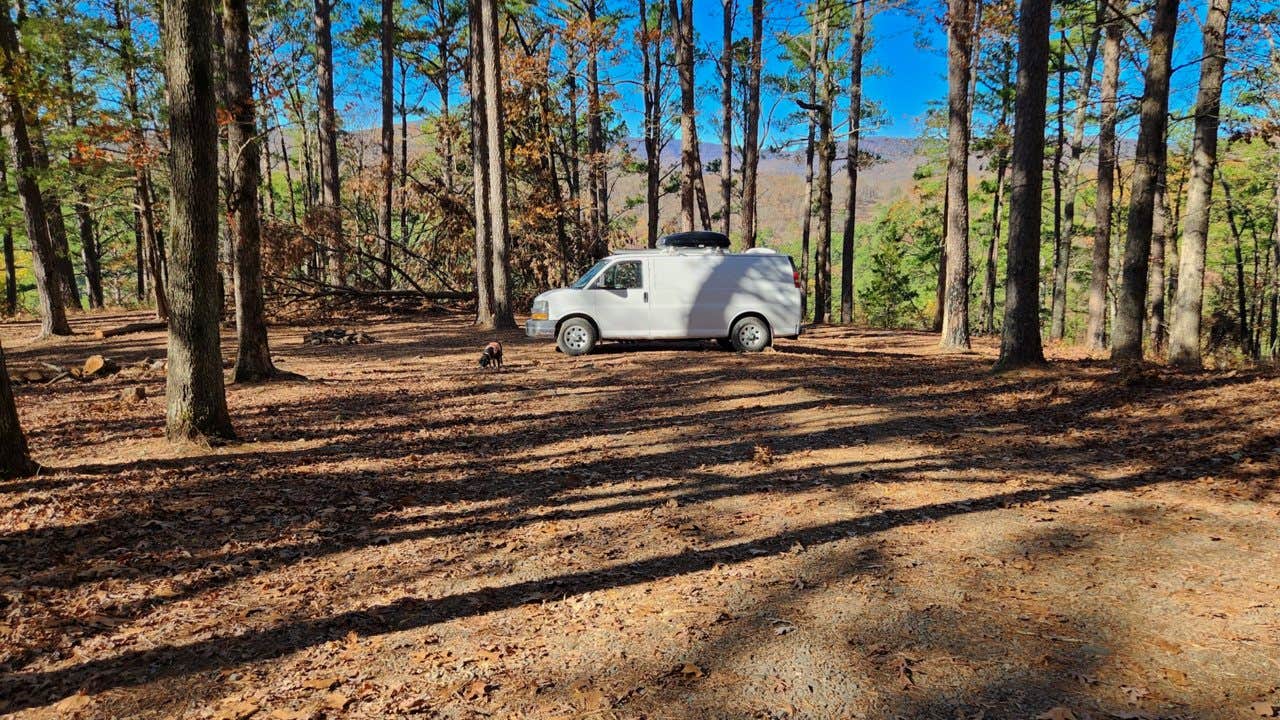 Camper submitted image from Morgan Mtn Rd/Spy Rock dispersed, Ozark National Forest, AR - 3