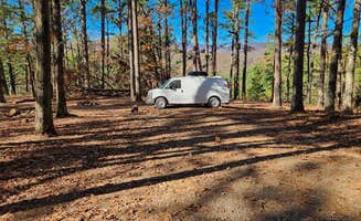Fred S.'s photo of camping with pets at Morgan Mtn Rd/Spy Rock Dispersed near Ozark, AR