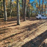 Review photo of Morgan Mtn Rd/Spy Rock dispersed, Ozark National Forest, AR by Fred S., November 23, 2024