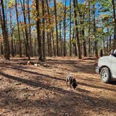 Review photo of Morgan Mtn Rd/Spy Rock dispersed, Ozark National Forest, AR by Fred S., November 23, 2024