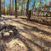 Review photo of Morgan Mtn Rd/Spy Rock dispersed, Ozark National Forest, AR by Fred S., November 23, 2024