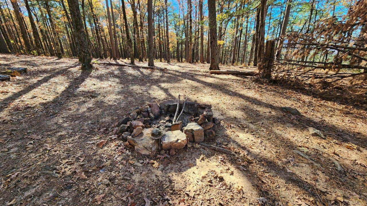 Camper submitted image from Morgan Mtn Rd/Spy Rock dispersed, Ozark National Forest, AR - 1