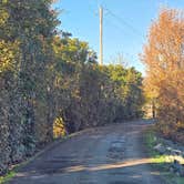 Review photo of Thousand Trails Lake Minden by Bill , November 28, 2024