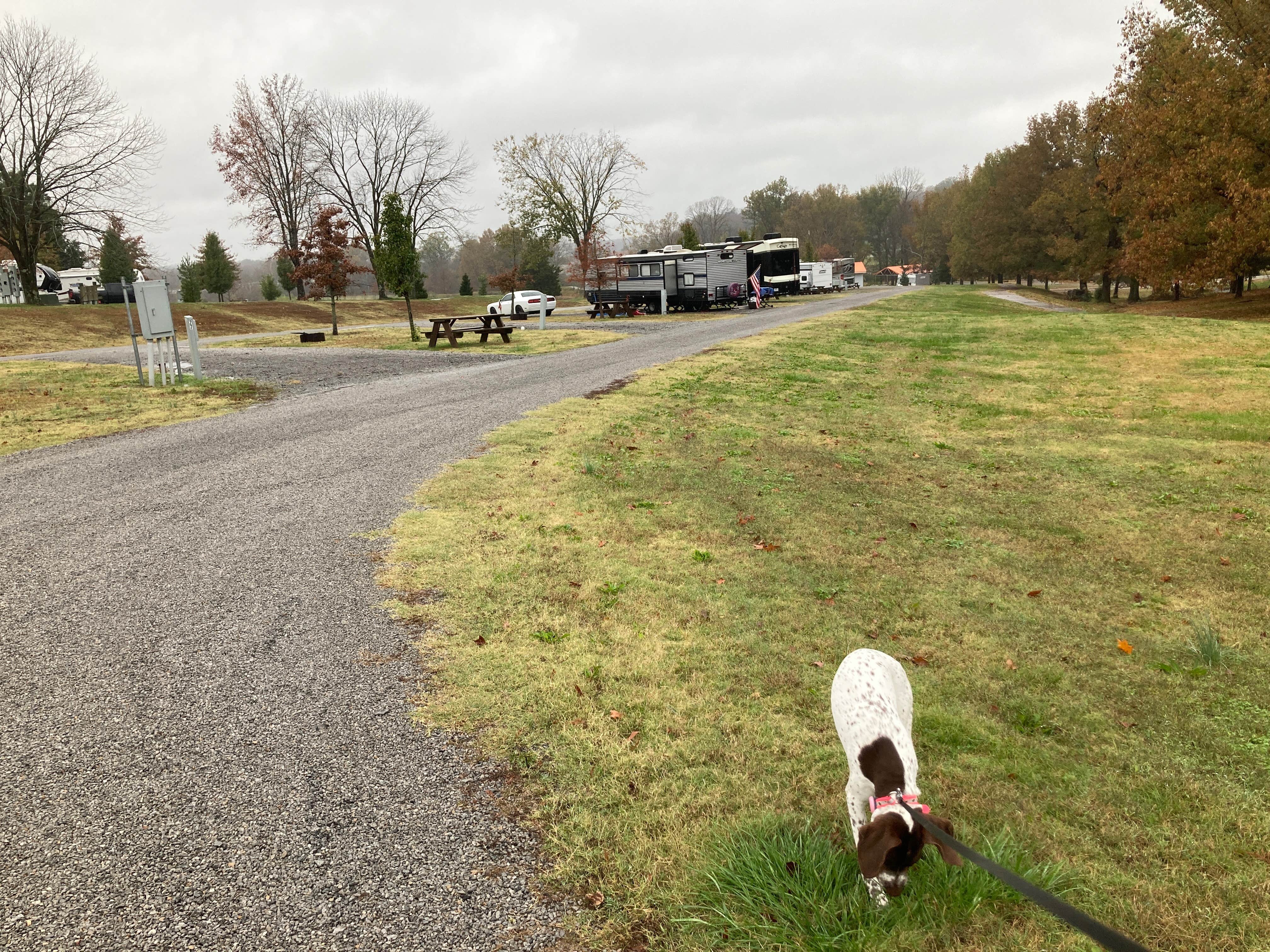 MickandKarla W.'s photo of camping with pets at Shawnee Forest Campground near Vienna, IL
