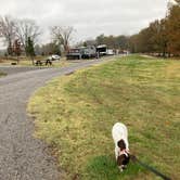 Review photo of Shawnee Forest Campground by MickandKarla W., November 30, 2024