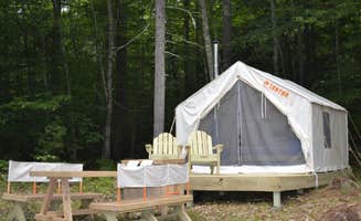 The Dyrt's photo at Bickford Wood near Eaton Center, NH