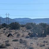 Review photo of Top of New Mexico - Dispersed Site by Josh F., December 2, 2024