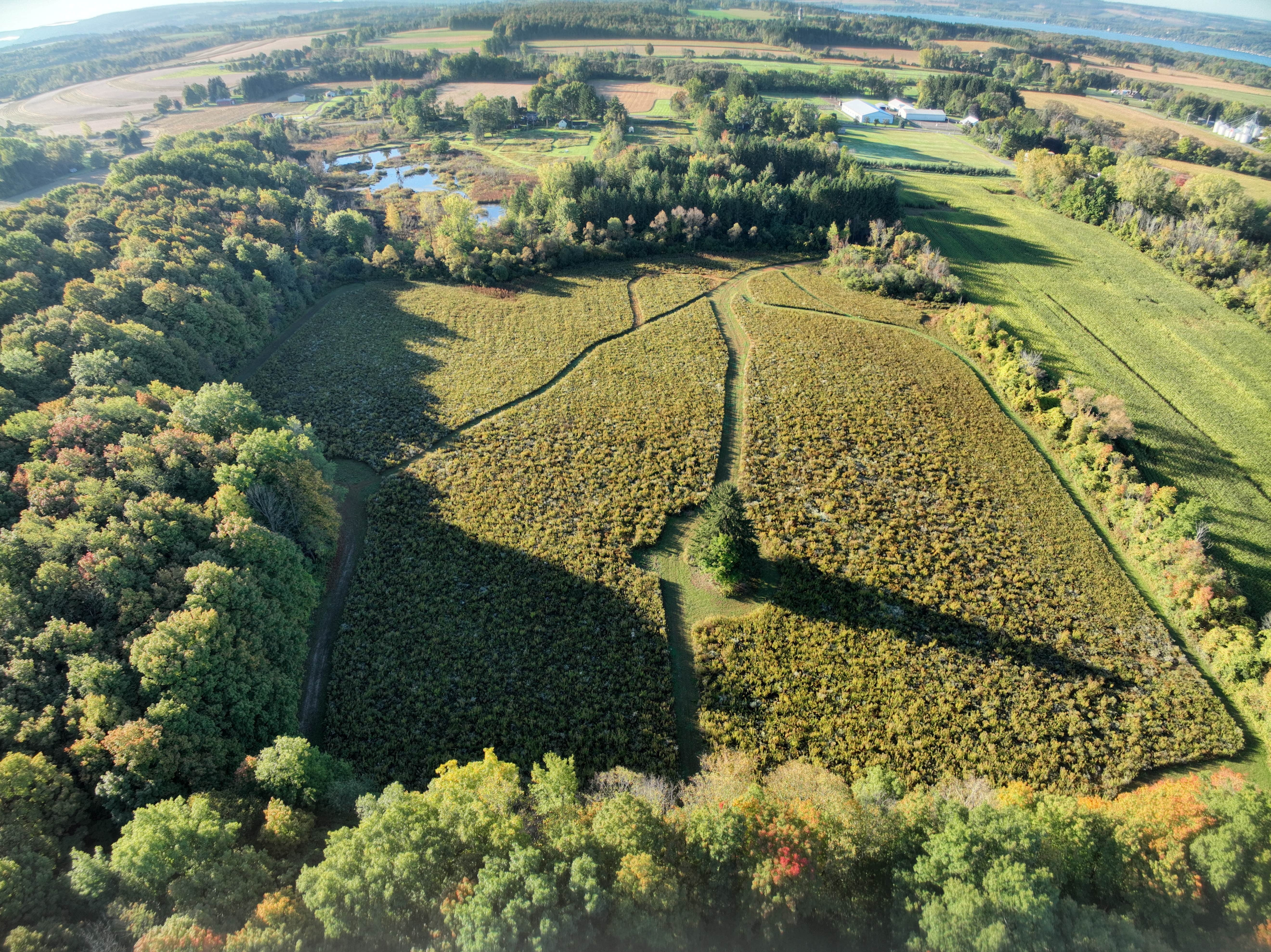 Camper-submitted photo at Woonton Family Farms near Geneva, NY