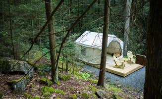 The Dyrt's photo at A Creek Runs Through It near Blakeslee, PA