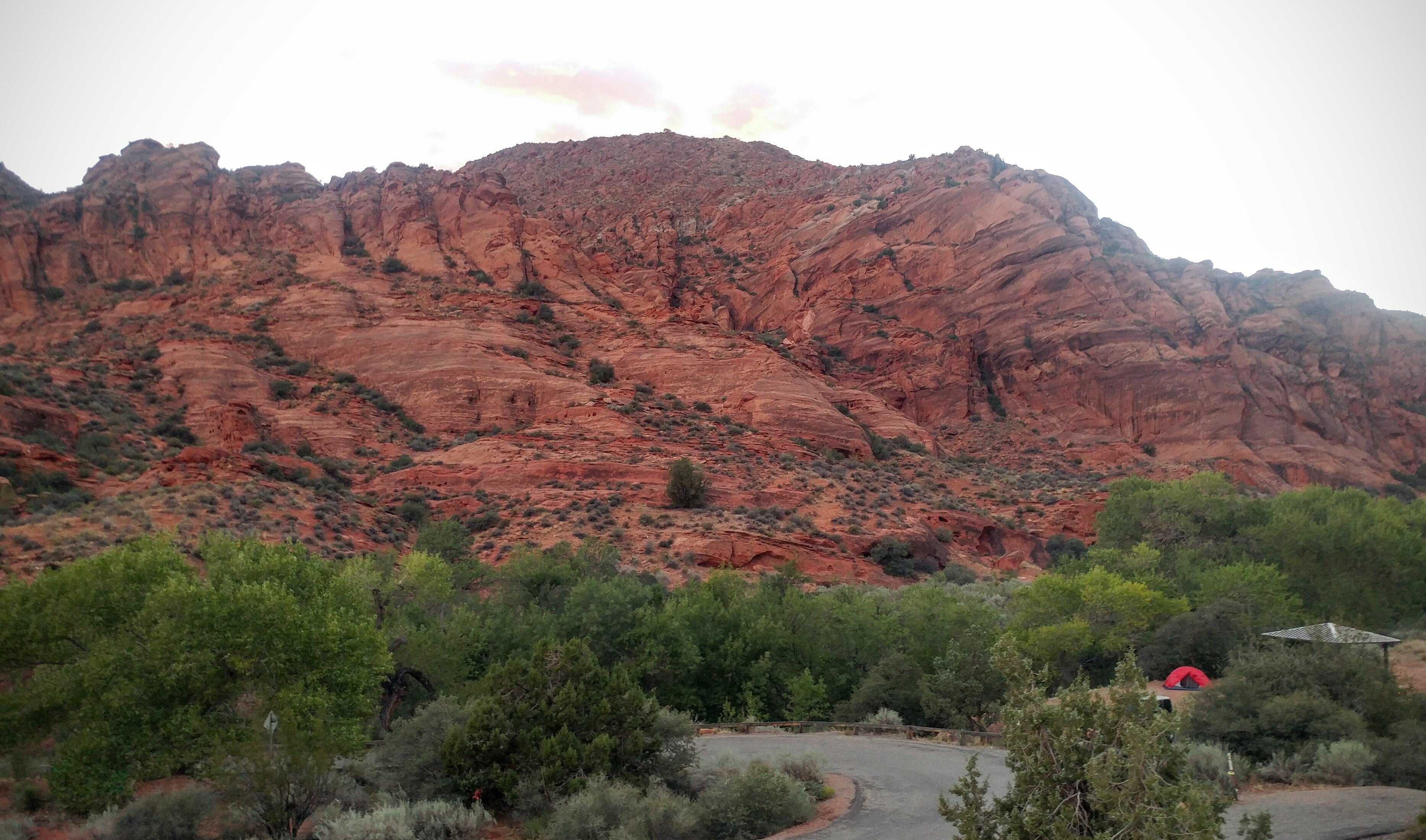 Camper submitted image from Red Cliffs Campground - 2