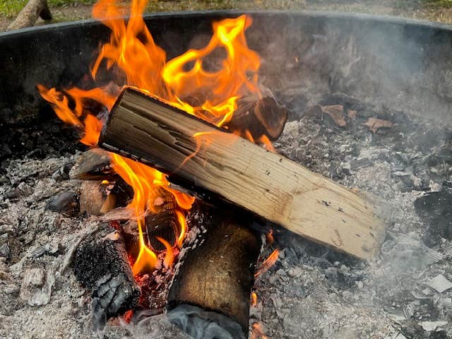 Camper-submitted photo at Jess Judy near Cabins, WV