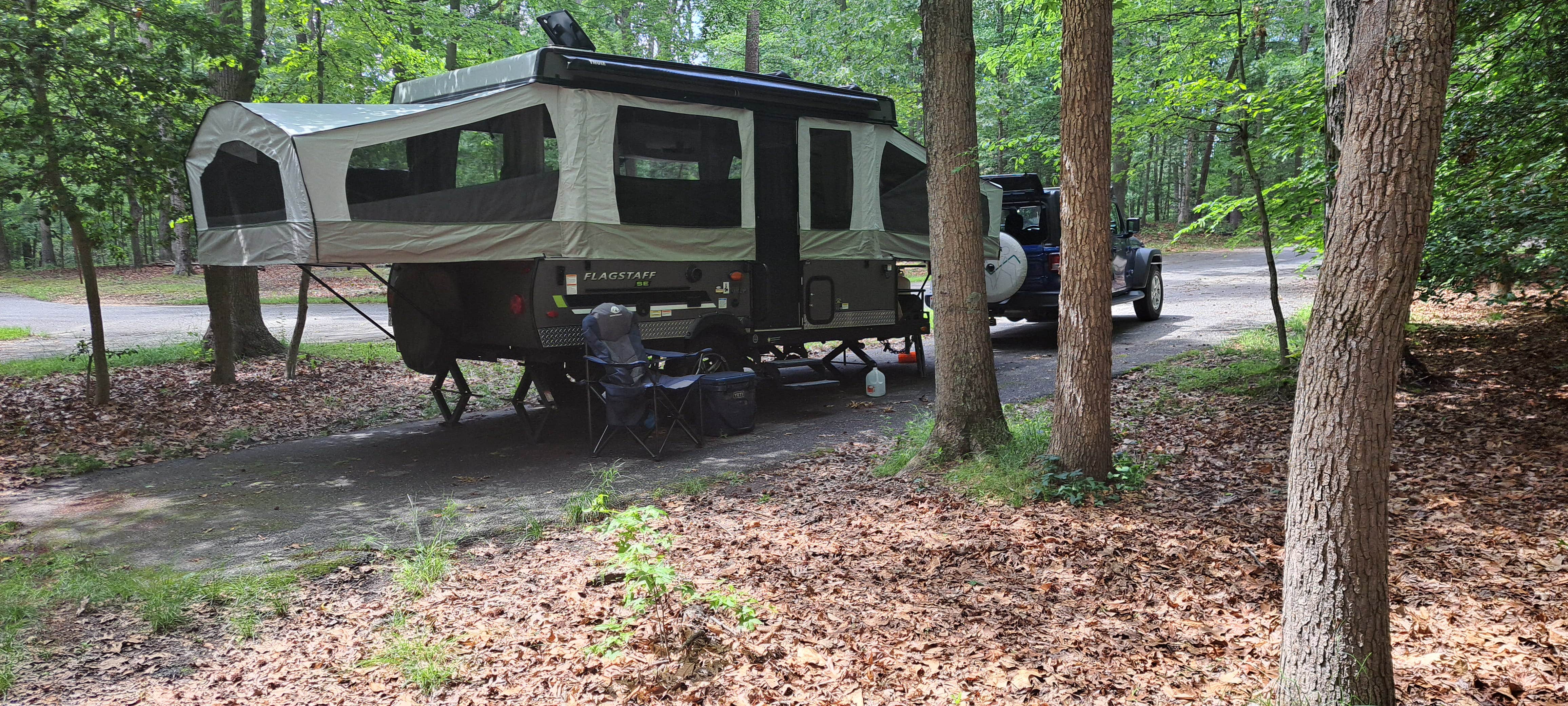 Becky's photo at Greenbelt Park Campground — Greenbelt Park near Huntingtown, MD