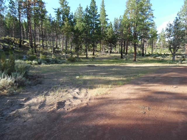 Camper-submitted photo at Fremont National Forest Bunyard Crossing Forest Camp near Summer Lake, OR