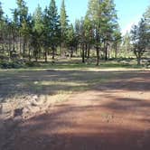 Review photo of Fremont National Forest Bunyard Crossing Forest Camp by Michael and Karen M., December 13, 2024