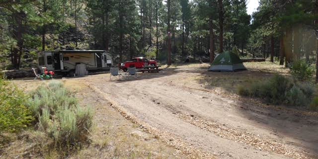 Camper submitted image from Fremont National Forest Bunyard Crossing Forest Camp