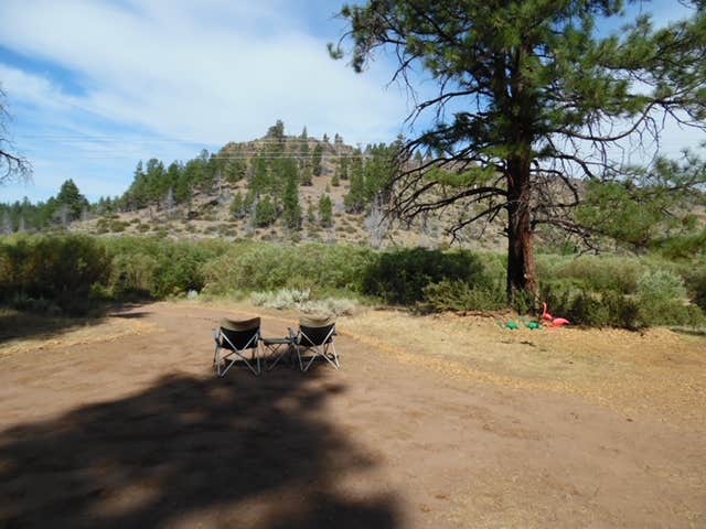 Camper-submitted photo at Fremont National Forest Bunyard Crossing Forest Camp near Summer Lake, OR