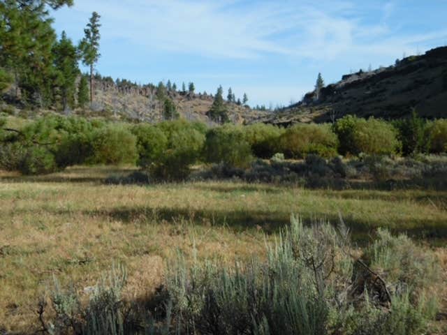 Camper submitted image from Fremont National Forest Bunyard Crossing Forest Camp - 2