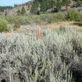 Review photo of Fremont National Forest Bunyard Crossing Forest Camp by Michael and Karen M., December 13, 2024