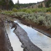 Review photo of Fremont National Forest Bunyard Crossing Forest Camp by Michael and Karen M., December 13, 2024