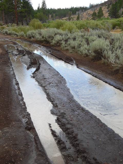 Camper submitted image from Fremont National Forest Bunyard Crossing Forest Camp - 4