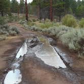 Review photo of Fremont National Forest Bunyard Crossing Forest Camp by Michael and Karen M., December 13, 2024