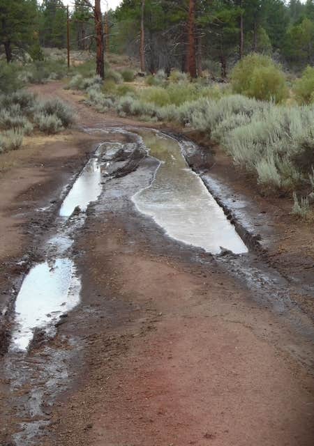 Camper submitted image from Fremont National Forest Bunyard Crossing Forest Camp - 3