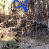 Review photo of Malibu Creek State Park Campground by Ryan W., December 13, 2024