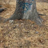 Review photo of Malibu Creek State Park Campground by Ryan W., December 13, 2024