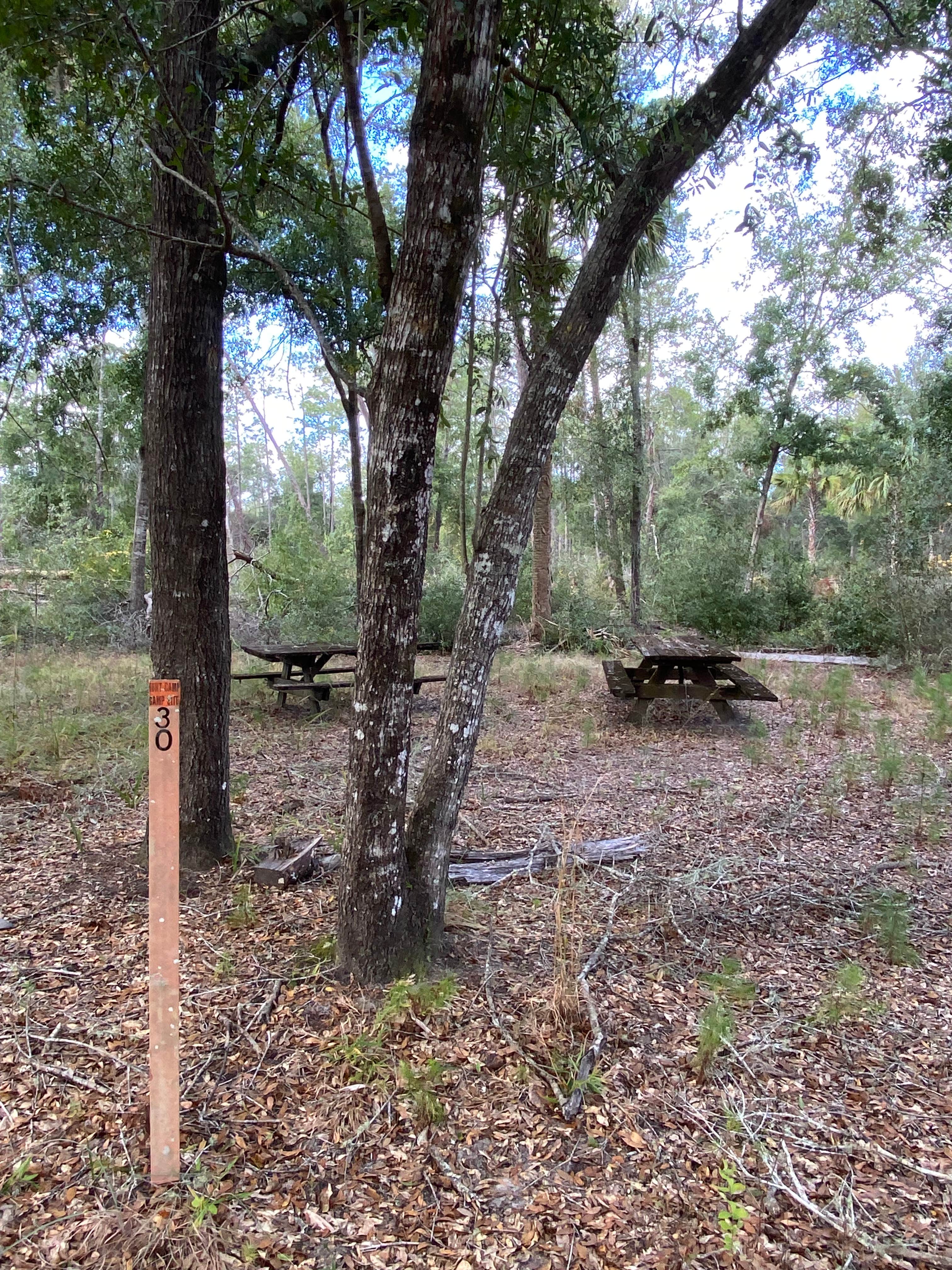 Camper submitted image from Shanty Pond Campground - PERMANENTLY CLOSED - 1