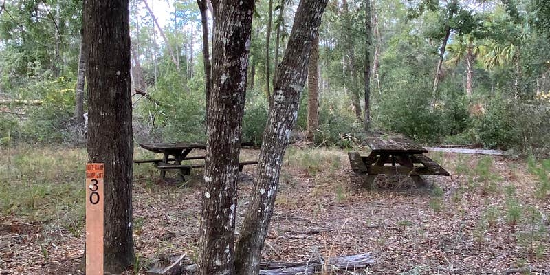 Camper submitted image from Shanty Pond Campground - PERMANENTLY CLOSED